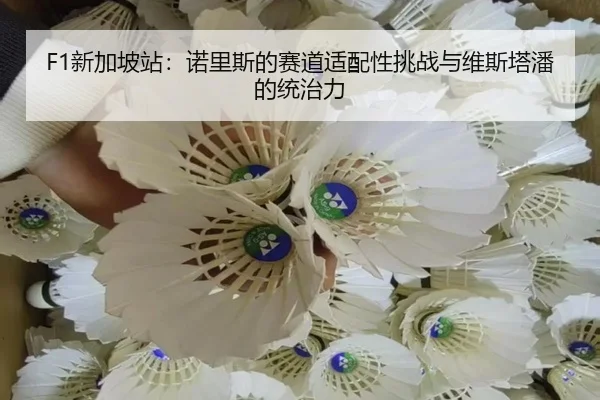 xin-jia-po-zhan-nuo-li-si-de-sai-dao-shi-pei-xing-tiao-zhan-yu-wei-si-ta-pan-de-tong-zhi-li-3-628.jpg