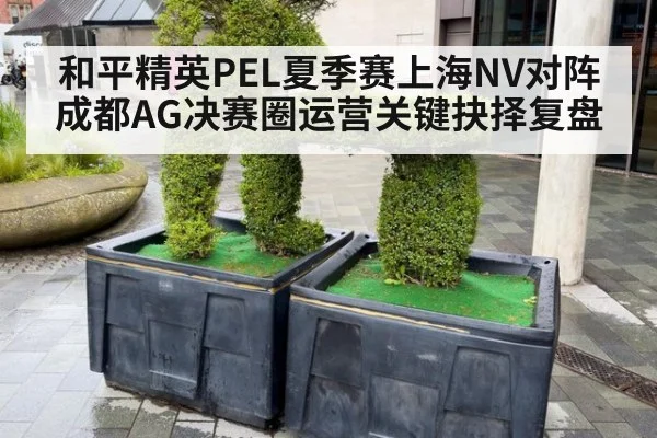 和平精英PEL夏季赛上海NV对阵成都AG决赛圈运营关键抉择复盘